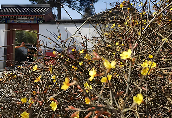 北海公园第 77 张图片