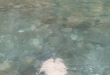 水银河景区第 18 张图片