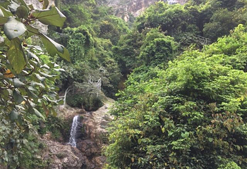 亚婆田白水寨自然生态旅游度假区第 31 张图片