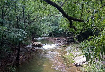九龙潭自然风景区第 30 张图片