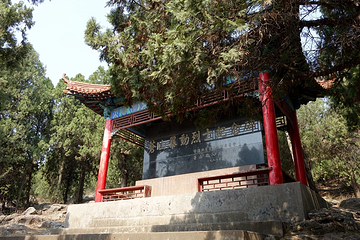兰陵文峰山景区第 20 张图片