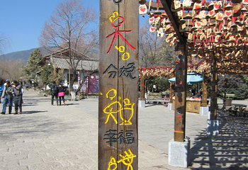 束河古镇第 108 张图片