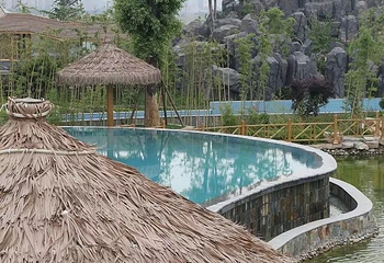 揽翠湖天沐温泉度假村第 51 张图片