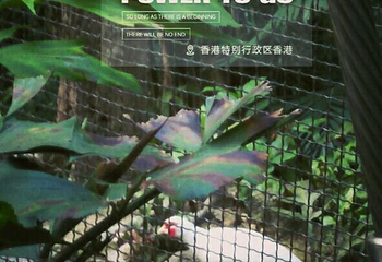 香港公园第 11 张图片