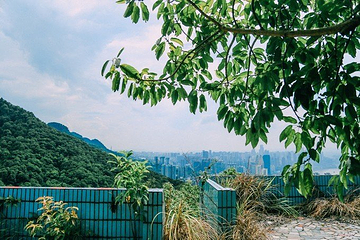 南山风景区第 56 张图片