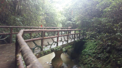 株洲酒埠江仙人桥旅游区第 16 张图片