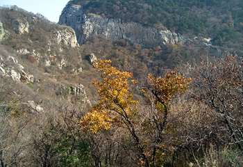卢崖瀑布风景区第 21 张图片