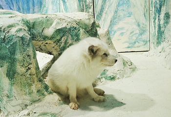 哈尔滨极地公园·海洋馆第 51 张图片