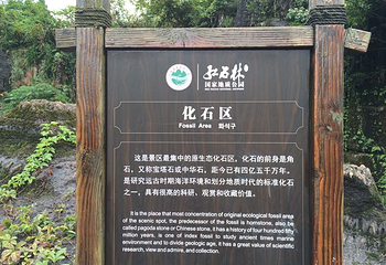 酉水风情画廊第 17 张图片
