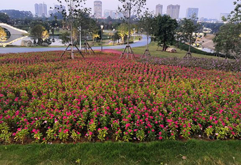长泰鼓鸣岩风景区第 26 张图片