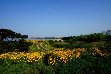 星岛·桃花岛风景区第 11 张图片
