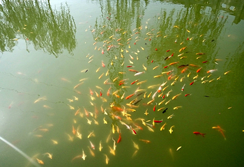 簸箕掌生态旅游景区第 4 张图片
