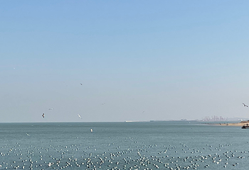 八仙过海景区第 58 张图片
