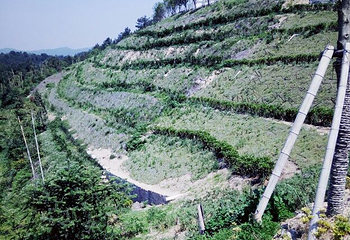武汉木兰三台山旅游风景区第 26 张图片