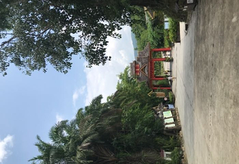 中缅边境公园第 26 张图片