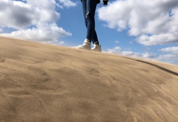 草甘沙漠旅游区第 16 张图片