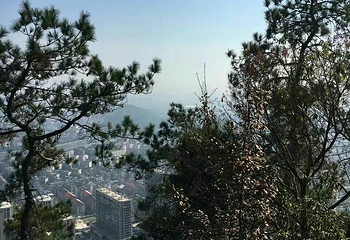 老君岛第 2 张图片
