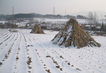 朱雀山滑雪场第 13 张图片