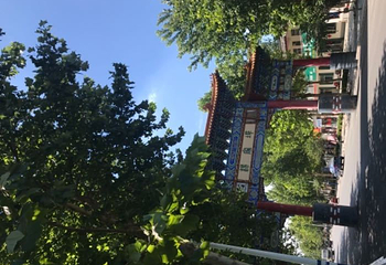杨家埠民间艺术大观园第 56 张图片