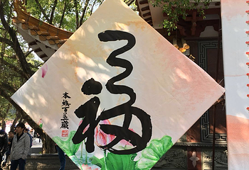 仙湖植物园第 38 张图片