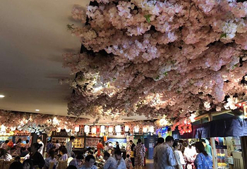 莲花岩第 11 张图片