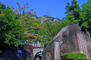 厦门园林植物园-五老峰第 23 张图片