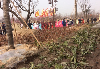 梅花湾第 46 张图片