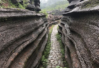 酉阳红石林景区第 15 张图片