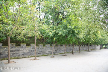 蚩尤陵旅游区第 34 张图片