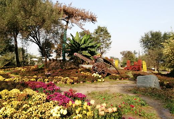 西安植物园新区第 56 张图片