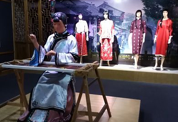 中丝园第 12 张图片