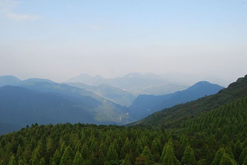 百山祖景区第 32 张图片