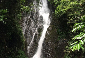 德庆盘龙峡生态旅游区第 42 张图片