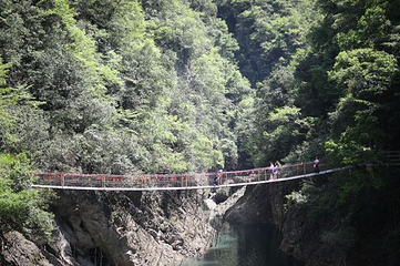 神农大峡谷景区第 24 张图片