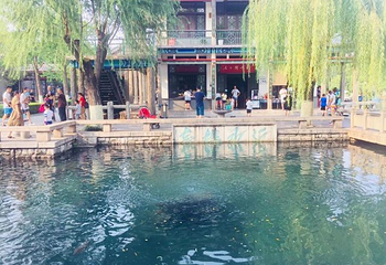 济南市环城公园第 22 张图片