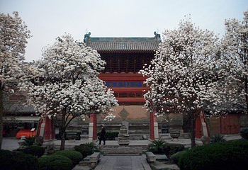 西安化觉巷清真大寺第 8 张图片