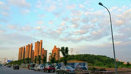 苏马荡景区第 19 张图片