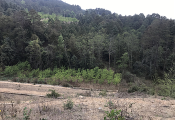 紫溪山风景区第 15 张图片