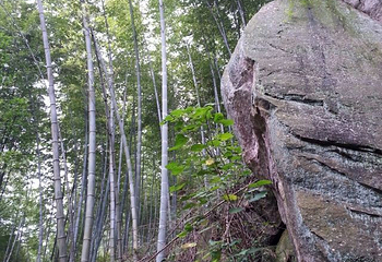 湖北三角山旅游度假区第 40 张图片
