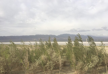 新疆盐湖景区第 65 张图片