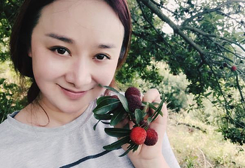 梁弄雅潭杨梅园第 7 张图片