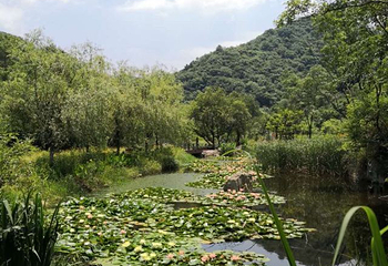 姚家山风景区第 38 张图片