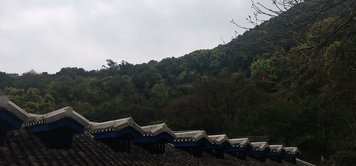 渣滓洞第 59 张图片