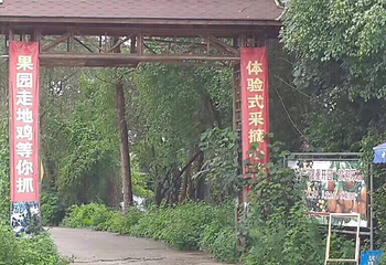 一棵树庄园第 10 张图片