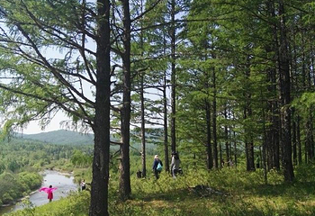 呼伦贝尔大草原巴尔虎蒙古部落民俗旅游度假景区第 69 张图片