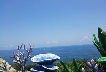放鸡岛生态旅游国际度假区第 29 张图片