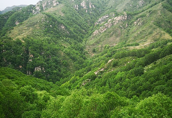 驼梁风景区第 35 张图片