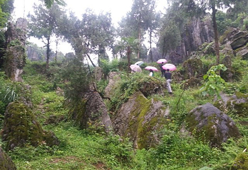 思南石林风景区第 14 张图片