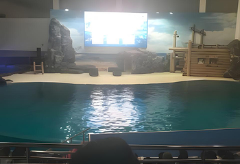 长沙海底世界第 59 张图片