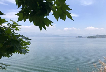 千岛湖乐游环湖骑行第 16 张图片